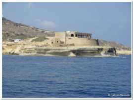 Malte et Gozo (272)