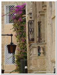 Malte et Gozo (92)
